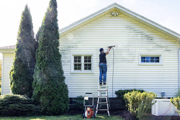 Best Roof Washing  in Ocean City, NJ